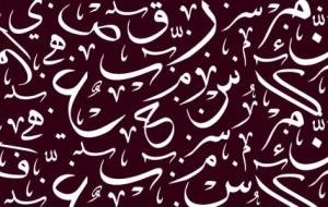 تطور اللغة العربية