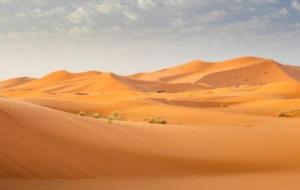 تعبير عن وصف جمال الصحراء