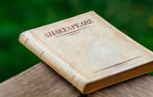 أشهر روايات شكسبير عن الحب