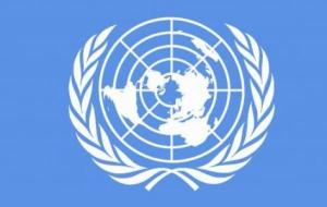 بحث حول هيئة الأمم المتحدة