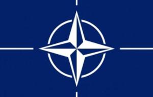 ما هو حزب الناتو