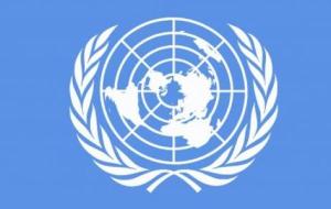 ما هي هيئة الأمم المتحدة