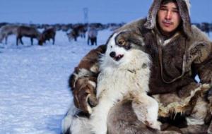 كيف يعيش الناس في القطب الشمالي