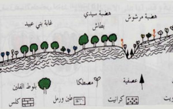 مم تتكون التربة