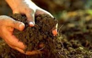 بحث عن مكونات التربة