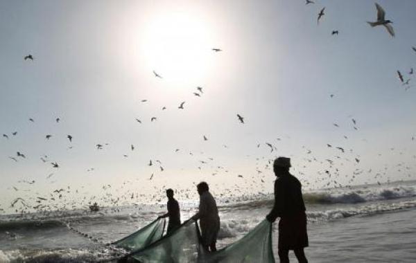 صيد السمك في الإمارات