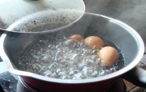 درجات سلق البيض