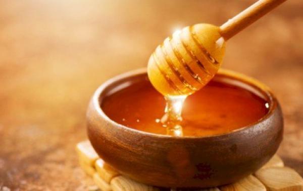 فوائد طلع النخل والعسل للرجال