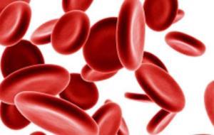 بحث حول فقر الدم