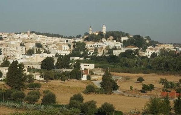 مدينة زغوان في تونس