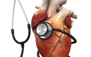 أعراض تضخم عضلة القلب