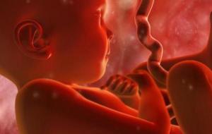 طرق تحديد جنس الجنين بشكل علمي