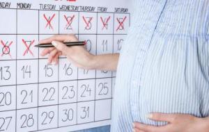في أي أسبوع من الحمل يبدأ الشهر السابع