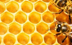 فوائد شمع العسل مع زيت الزيتون