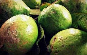فوائد الجوافة للرجيم