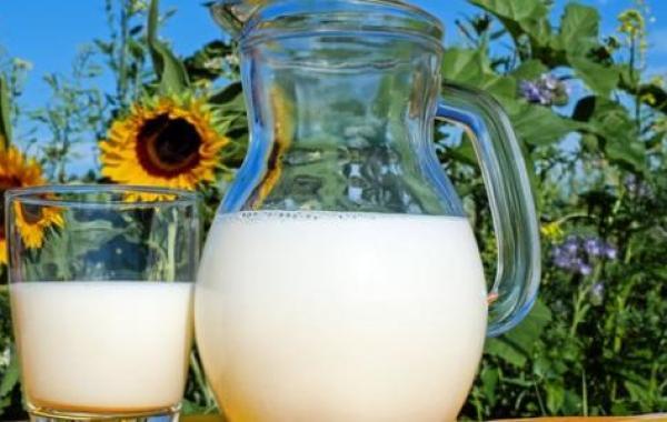فوائد الحليب لزيادة الطول