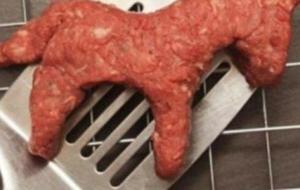أضرار أكل لحم الحمير