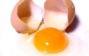 كم يحتوي البيض من البروتين