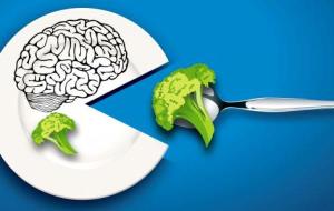 ما هو الغذاء الرئيسي للدماغ