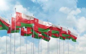 نظام الدعم الوطني في سلطنة عمان