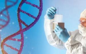 تطبيقات الهندسة الوراثية في المجال االطبي