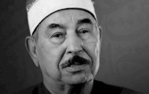 محمد محمود الطبلاوي (قارئ قرآن مصري)