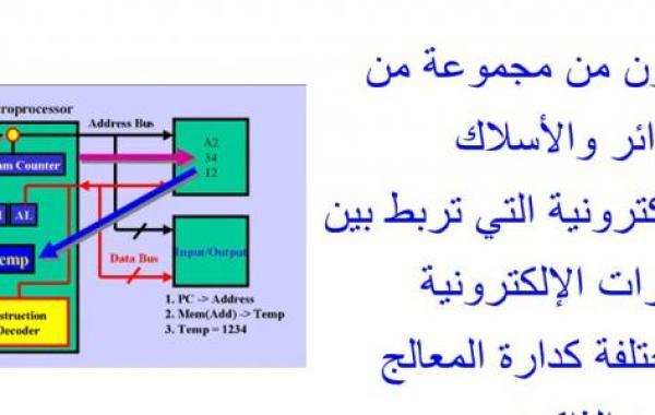 ما الفرق بين المكونات المادية والبرمجية للحاسب