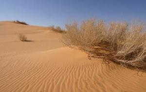 أكبر صحراء رملية في العالم