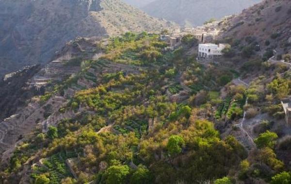 كم يبلغ ارتفاع الجبل الأخضر في عمان