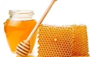 فوائد المر مع العسل