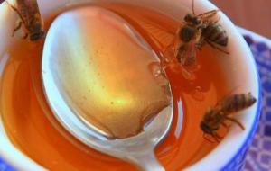 مقالة علمية عن العسل