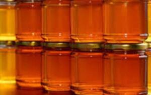 فوائد عسل الكالبتوس