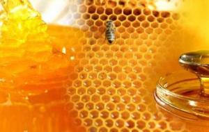 كيف تعرف أن العسل أصلي
