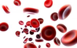 حقائق عن فصيلة الدم A
