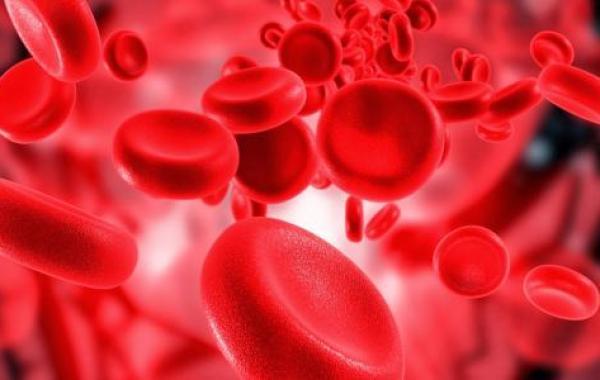 ما سبب نقص كريات الدم الحمراء