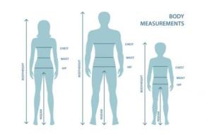 ما هو طول الانسان الطبيعي