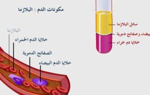 ما هي مكونات الدم