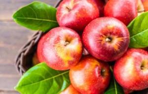 فوائد التفاح للقولون