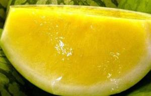 فوائد بذور البطيخ الأصفر