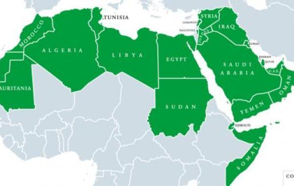 الدول العربية في قارة أفريقيا