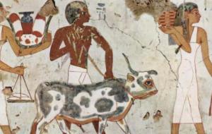 كيف كان يعيش المصريون القدماء