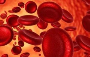 ما هو فقر الدم