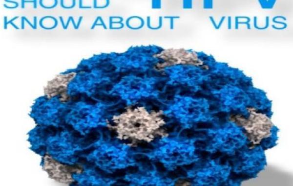 ما هو فيروس Hpv