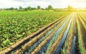 أهمية الموارد الزراعية