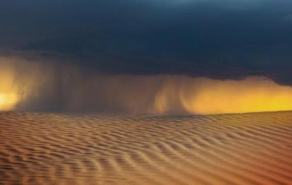 العواصف الرملية: أنواعها وطرق الوقاية منها