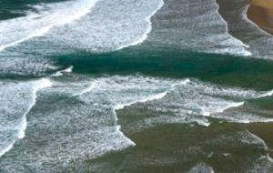 الفرق بين الأمواج والتيارات البحرية