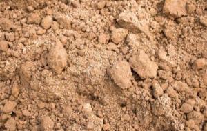 خصائص التربة الرملية
