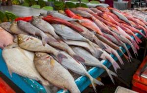 تفسير حلم سوق السمك في المنام