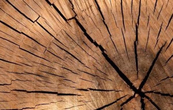 تفسير رؤية الخشب في المنام