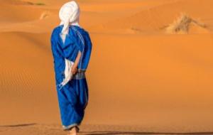 قبائل الصحراء الغربية